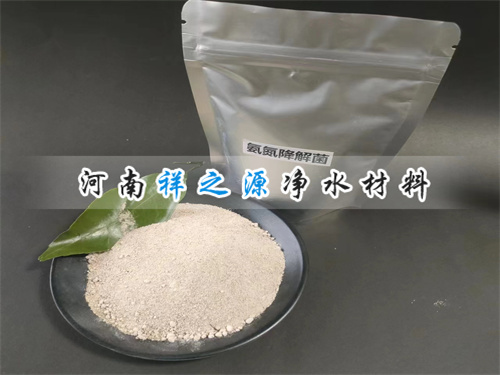 �����������Ҫ����